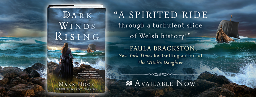 DarkWindRising_FBCover_onsale